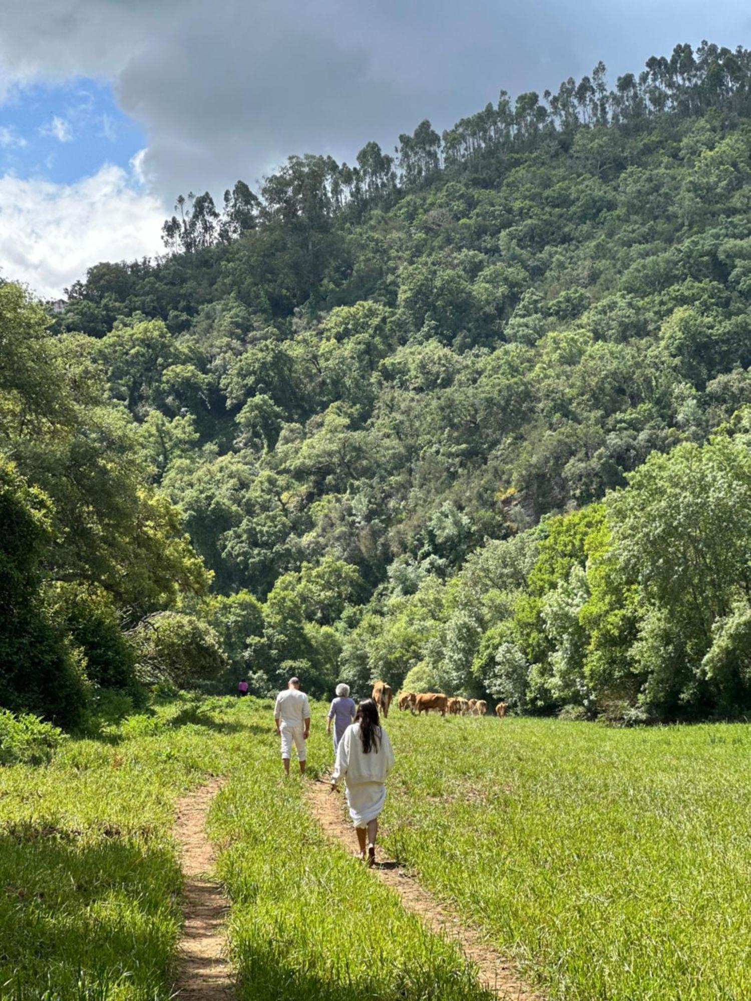 Herdade Da Maceira Villa São Luis Kültér fotó